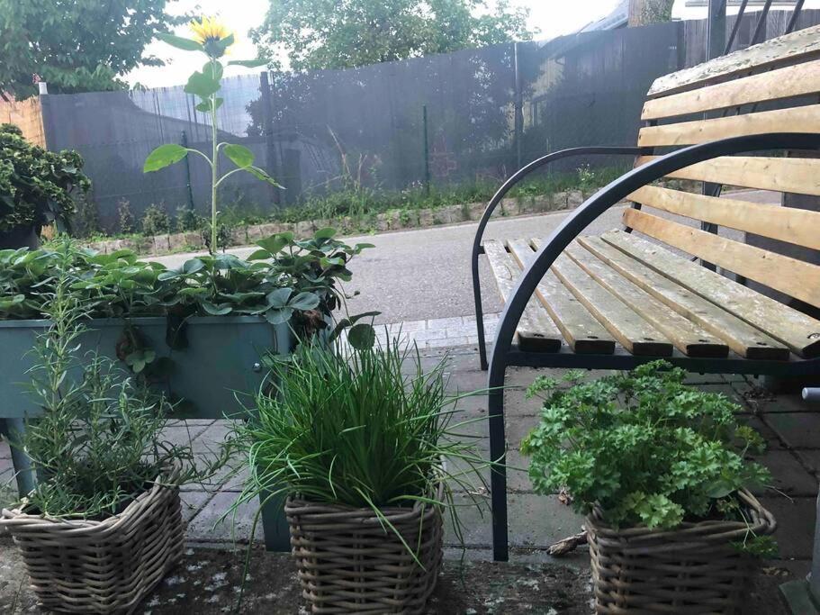 Wohnung In Gehobener Lage Bruchsal Kültér fotó